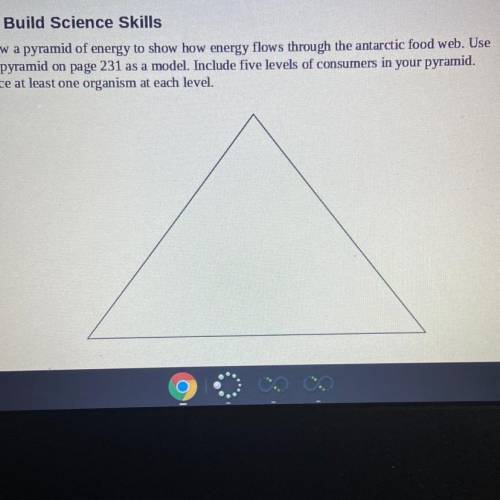 Draw a pyramid of energy to show how energy flows through the antarctic food web. Use

the pyramid