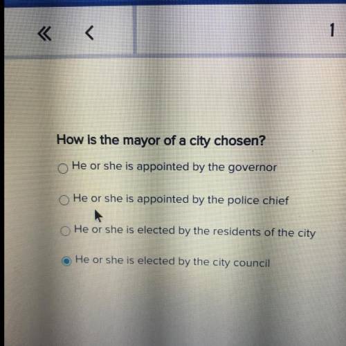 How is the mayor of a city chosen?