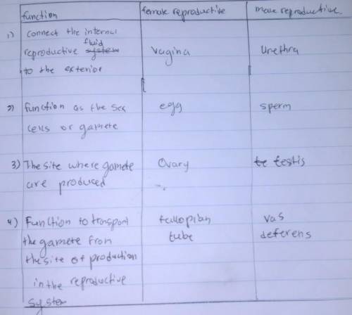 Match the reproductive structures based on their function and the system to which they belong.