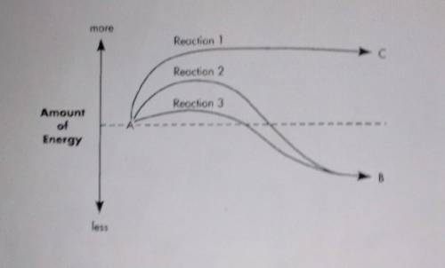 Refer to the graph above. Reaction 2*

is the same as Reaction 1, but faster. requires more activa