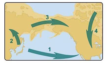 Which numbered route shows the migration of the earliest Americans?

Question 8 options:
3
1
4
2