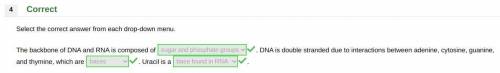 Select the correct answer from each drop-down menu.

The backbone of DNA and RNA is composed of __