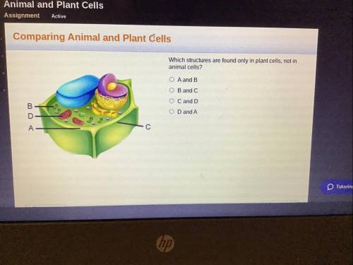 PLEASE ANSWER FAST PLEASE

Which structures are found only in plant cells, not in animal cells.
1.