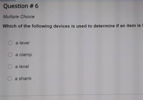 Which of the following devices is used to determine if an item is horizontal?