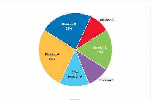 The graph shows percentages of sales made by various divisions of a company in one year. What are t
