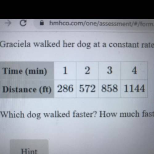 Graciela walked her dog at a constant rate while her brother recorded her time and distance in the