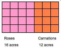 A gardener plants roses and carnations in the areas shown in the model below.

A model with 4 rows