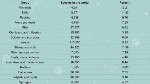 Insects are the group with the most species but their percent in the world not high. Why?