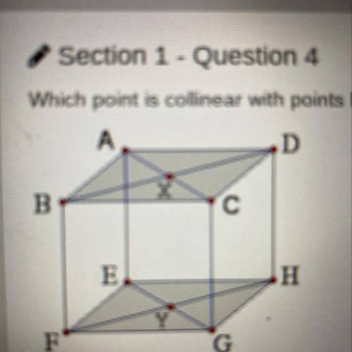 Which point is collinear with points E and Y?