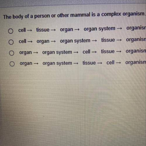 The body of a person or other mammal is a complex organism the structure of the body has several le