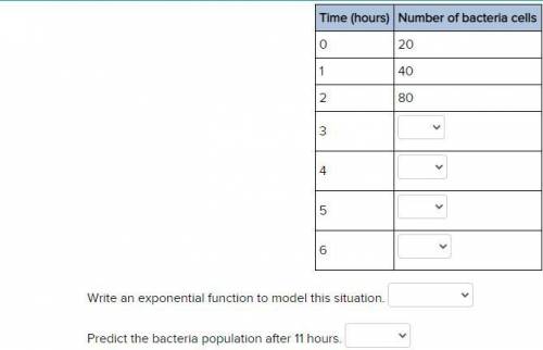 PLS HELP. A scientist studying bacteria begins with 20 cells. The bacteria population doubles every
