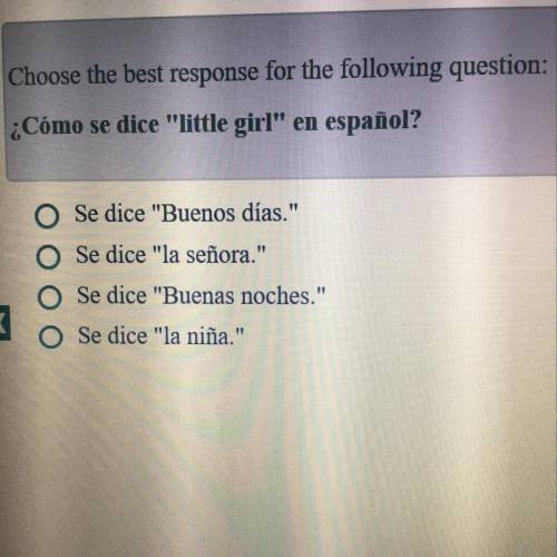 Choose the best response for the following question:

¿Cómo se dice little girl en español?
Se d