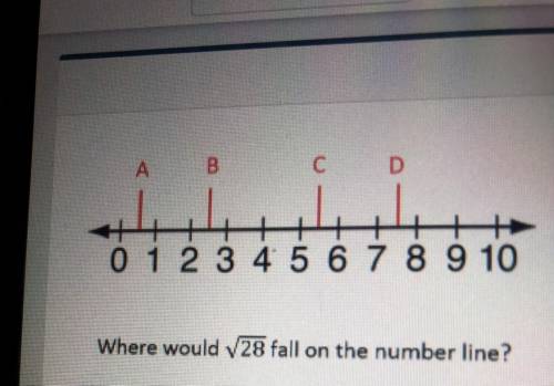 Where would v28 fall on the number line?