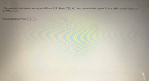 What are the coordinates of P?