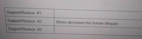 What are three good supporting reasons for an informative essay on stress