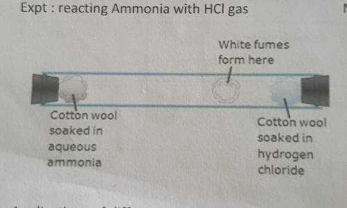 Hey there! so I have this question in chemistry where they have shown a reaction with Ammonia acid