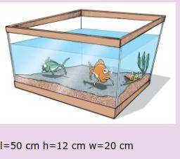 What is the volume of this fish tank?_______ L