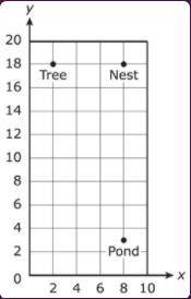 Please help ASAP

The graph shows the location of a eagles nest, a tree, and