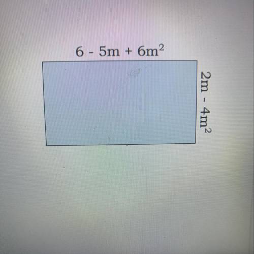 Find the perimeter of the rectangle.