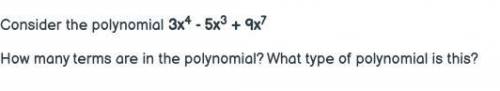 How many terms are in the polynomial? What type of polynomial is this?