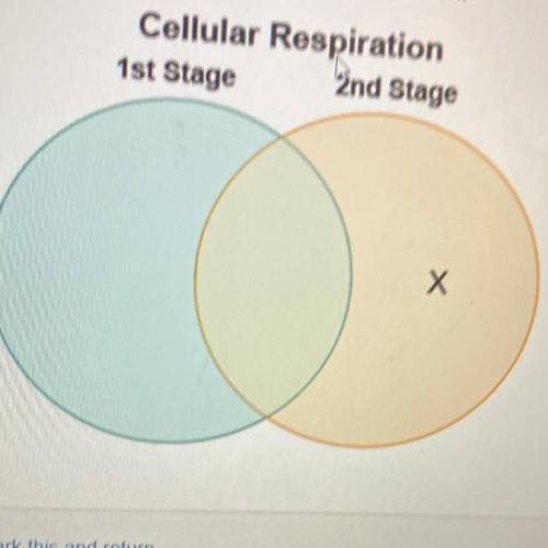 Cassandra made a venn diagram to compare and contrast the two stages of cellular respiration

whic