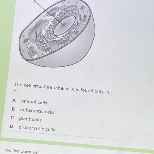The cell structure labeled X is found only in

A animal cells
B eukaryotic cells
C plant cells
D p