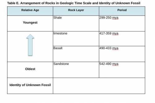 Table E. Arrangement of Rocks in Geologic Time Scale and Identity of Unknown Fossil
