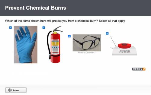Help me find the answer please

Which of the items shown here will protect you from a chemical bur