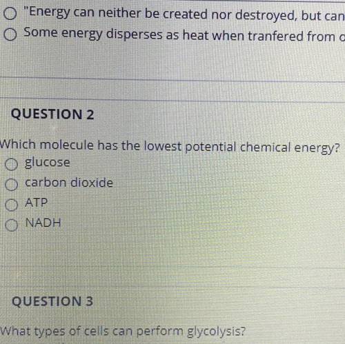 Which molecule has the lowest potential chemical energy?