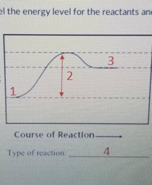 Label the type of reaction for each label the energy level for the reactants and products