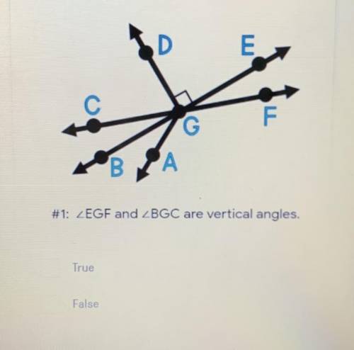 #1: ZEGF and LBGC are vertical angles.
True
False