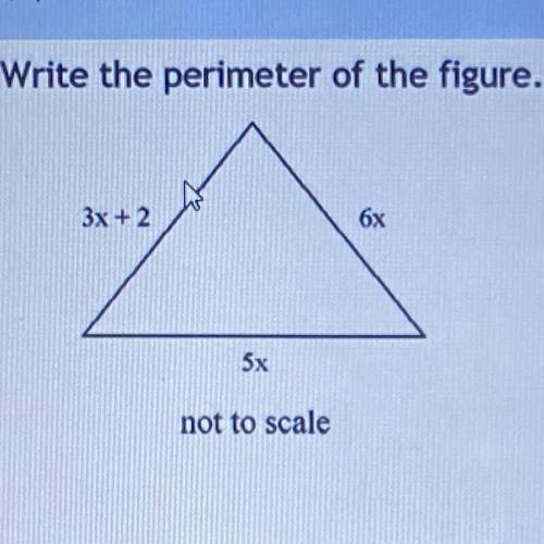 Write the perimeter of the figure.
3x + 2
6x
5x
not to scale