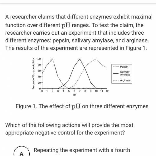 A - Repeating the experiment with a fourth enzyme

B Repeating the experiment at several different