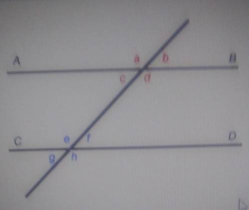 In the diagram angles a and h are_____