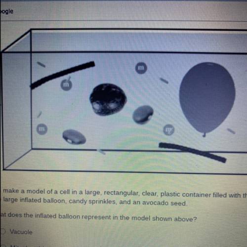 You make a model of a cell in a large, rectangular, clear, plastic container filled with the follow