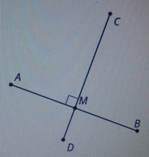 Line segment CD is the perpendicular bisector of line segment AB. Is line segment AB the perpendicu