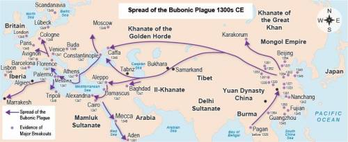 Which of the following best explains the pattern of outbreaks of bubonic plague shown on the map?
