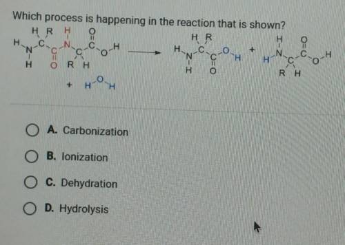 Which process is happening in the reaction that is shown?

A. Carbonization  B. lonization  C. Deh