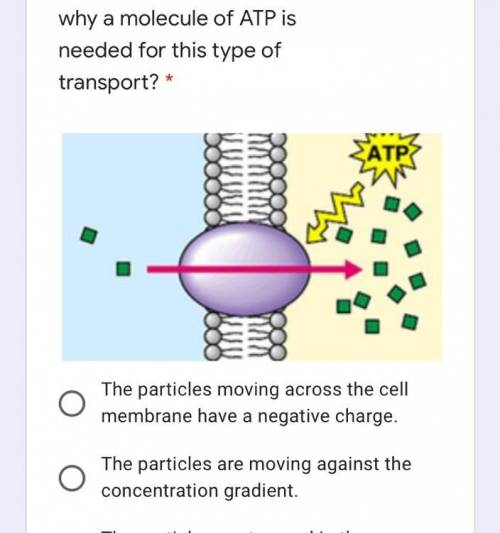 Which of these best explains why a molecule of ATP is needed for this type of transport?

A) The p