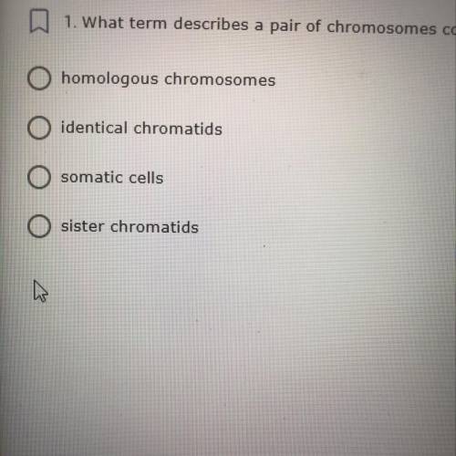 what term describes a pair of chromosomes consisting if one chromosome from the father (parental ch