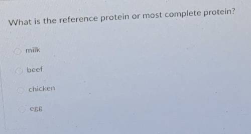 What is the reference protein or most complete protein?