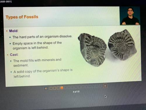 Which condition is necessary for a mold fossil to form?

(NOTES IN PICTURE)
1)The fossil must be p