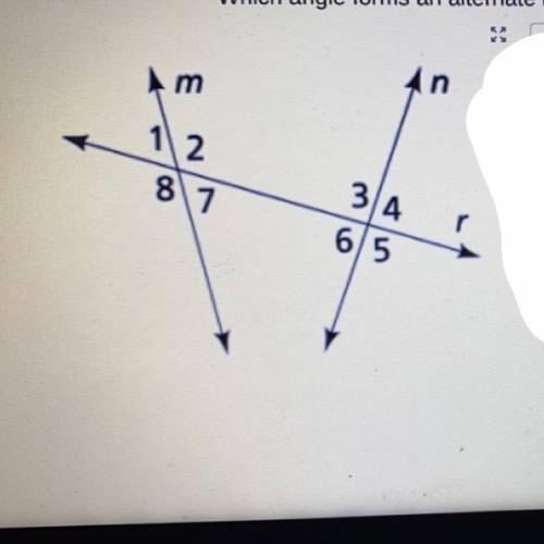 Geometry

Please help me with my homework! Thank you!!
Which angle forms an alternate interior ang