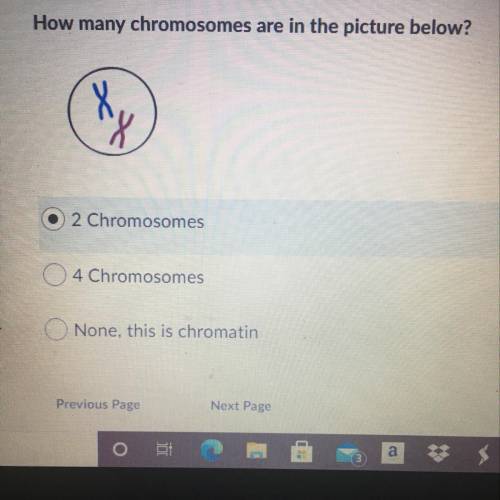 How many chromosomes are here?
