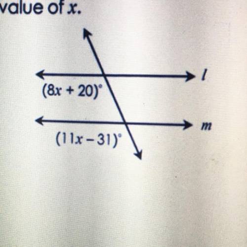 Find the value of x in the picture below