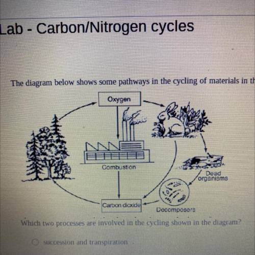POSSIBLE PO

The diagram below shows some pathways in the cycling of materials in the environment.