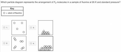 Help!

Which particle diagram represents the arrangement of F₂ molecules in a sample of fluorine a