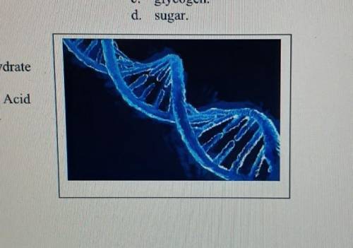 What biomolecule is this? a. Carbohydrate b. Lipid c. Nucleic Acid d. Protein
