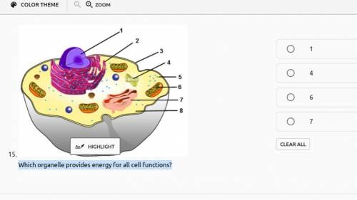 Which organelle provides energy for all cell functions?( need quick Lol)