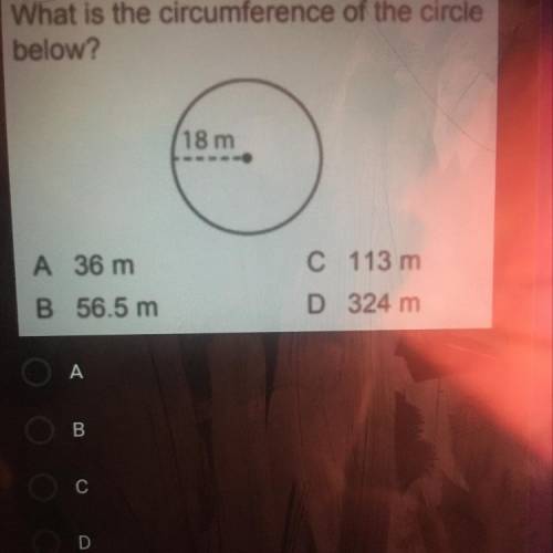 What is the circumference of the circle

below?
/18 m
A 36 m
C 113 m
B 56.5 m
D 324 m